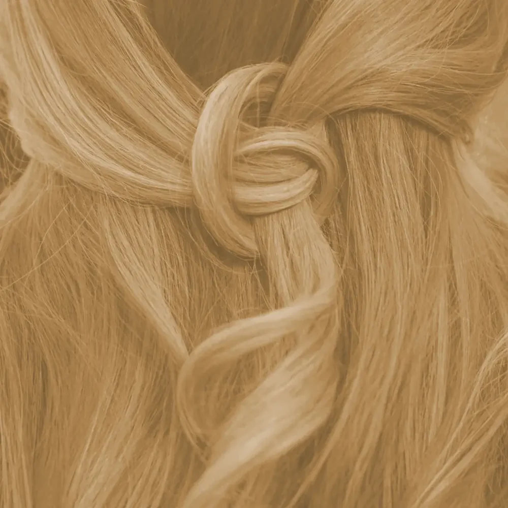 Farbpalette Blond