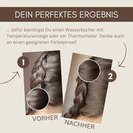 Professional Plant Hair Colour SET Colourless Warm-Shimmering Volume Shine Hair Pack