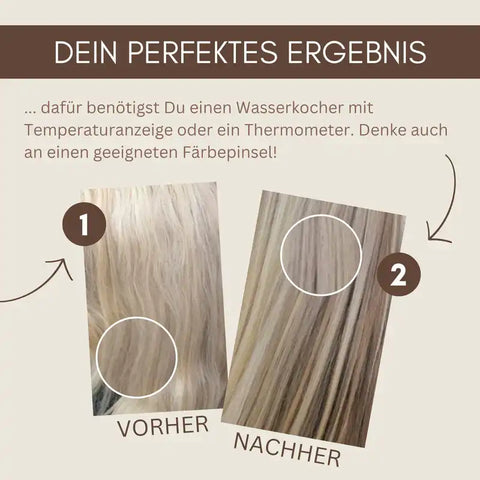 Professional Plant Hair Colour SET Cool Colourless Volume Shine Hair Pack