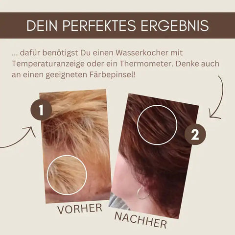 Profi-Pflanzenhaarfarbe SET warmes Nougat-Braun "warm nougat brown"