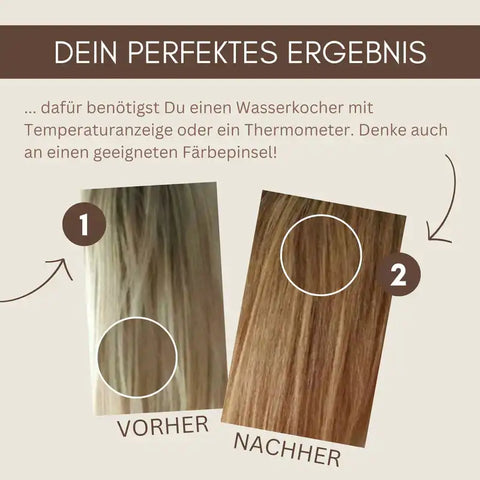 Profi-Pflanzenhaarfarbe SET warmes Hell-Blond "warm light blond"