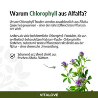 Gocce di clorofilla (naturali da erba medica) – 50 ml